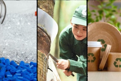 Ngành bao bì, cao su và nhựa đứng trước thách thức phát triển xanh bền vững