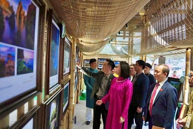 Ô nhiễm không khí đạt ngưỡng báo động: Tranh Nano Airpurity là lời giải?