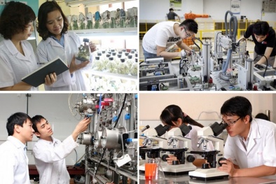 Chương trình hành động của Chính phủ thực hiện đổi mới căn bản, toàn diện giáo dục và đào tạo