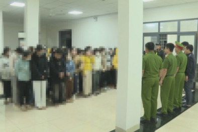 Sự bùng nổ của các công nghệ mới làm gia tăng các hành vi lừa đảo