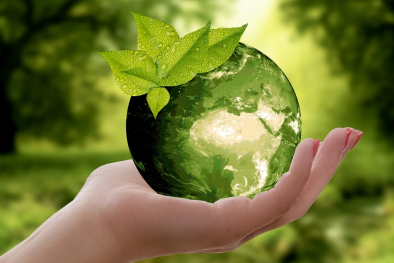 Sửa đổi tiêu chuẩn ISO 14001 hướng doanh nghiệp đến sự phát triển bền vững 