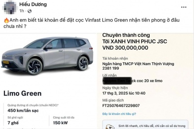 VinFast Green tiếp tục 'nóng', đơn hàng lớn tới tấp đổ về