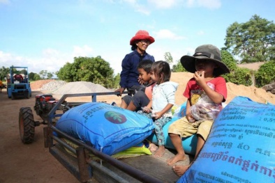 Phân Bón Cà Mau tăng cường “độ phủ” bộ sản phẩm NPK Cà Mau Poly Phosphate tại Campuchia