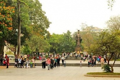 Hà Nội cải tạo, chỉnh trang vườn hoa Lý Thái Tổ: tăng 14 cây xanh so với trước