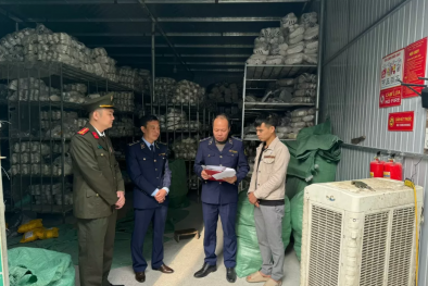 Tiêu hủy số lượng lớn giày giả mạo nhãn hiệu tại Phú Thọ