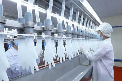 Ấn Độ điều tra chống bán phá giá đối với găng tay cao su y tế từ Việt Nam