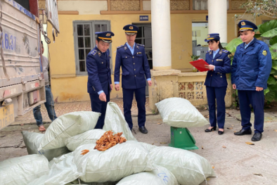 Lạng Sơn phát hiện, xử lý 1 tấn chân gà không nhãn mác, xuất xứ