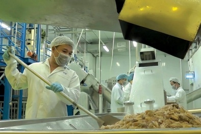 Áp dụng bộ tiêu chuẩn ESG - ‘bí quyết’ phát triển đường dài cho doanh nghiệp