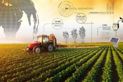 Nông nghiệp công nghệ cao - tiêu chuẩn hiện đại giúp nâng tầm năng suất chất lượng sản phẩm