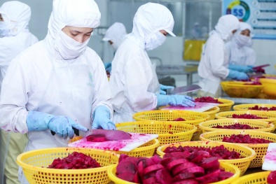 Thực phẩm chế biến sâu phải đáp ứng nghiêm ngặt các tiêu chuẩn an toàn quốc tế