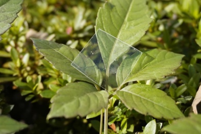 Phát triển loại nhựa mới hòa tan trong đại dương qua đêm, không để lại vi nhựa