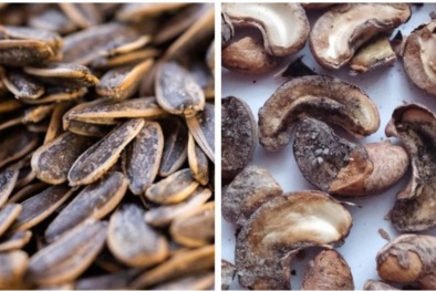 Sử dụng thực phẩm có hàm lượng aflatoxin nguy cơ gây ung thư