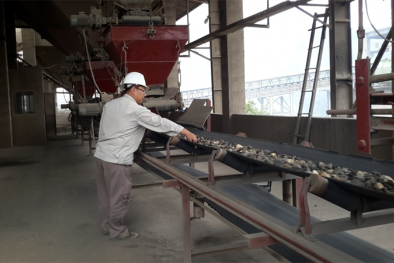 Áp dụng tiêu chuẩn ISO 50001: Hiệu quả trước mắt và lâu dài cho doanh nghiệp