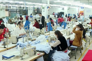 Kinh tế tư nhân - động lực chính cho tăng trưởng