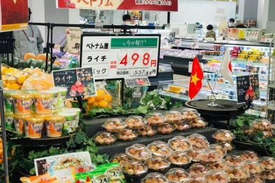 Thích ứng tiêu chuẩn và nâng tầm chất lượng để mở rộng quy mô hợp tác trên toàn cầu