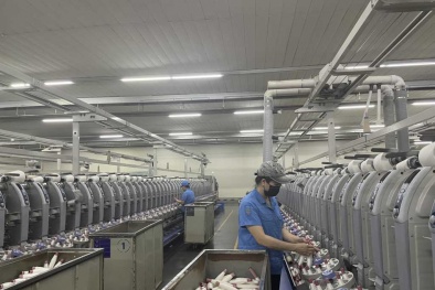 Quảng Ninh tăng cường hiệu lực quản lý nhà nước về khoa học và công nghệ