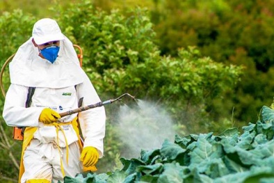 TCVN 14265:2025 về găng tay bảo vệ cho người làm việc với thuốc trừ sâu và sau phun