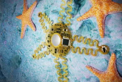 Thiết bị đeo sao chép cấu trúc cơ thể sao biển để theo dõi sức khỏe tim mạch 