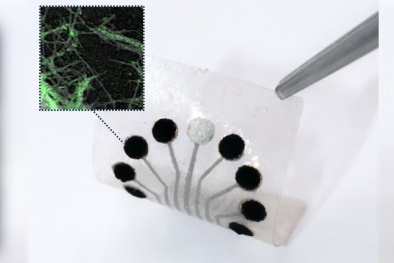 Cảm biến lấy cảm hứng từ sinh học theo dõi quá trình trao đổi chất theo thời gian thực