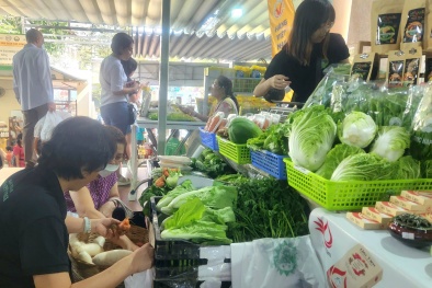 Thúc đẩy tiêu dùng xanh: Doanh nghiệp Việt cần thích ứng để xuất khẩu bền vững