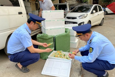 Lạng Sơn phát hiện 3.000 túi đậu phụ đóng gói nhập lậu