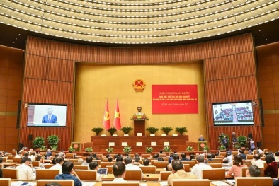 Hội nghị toàn quốc quán triệt, triển khai thực hiện Nghị quyết Hội nghị Trung ương 11 khóa XIII