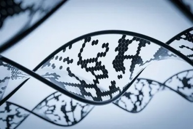 Cảnh báo nguy cơ mất an toàn an ninh mạng trong giải trình tự gen