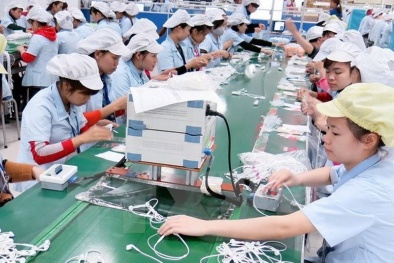 Biểu đồ ma trận giúp doanh nghiệp giải quyết nhiều vấn đề liên quan đến năng suất