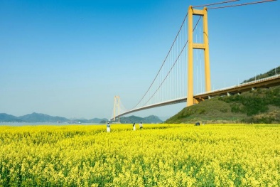 Nhật Bản ban hành bộ tiêu chuẩn công bố thông tin bền vững đầu tiên