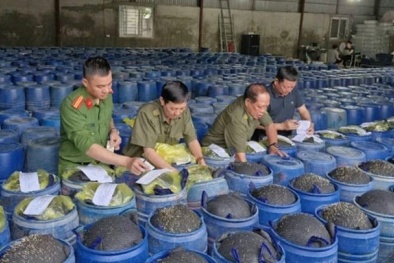 Triệt phá đường dây sản xuất số lượng lớn giá đỗ ngâm hóa chất tại Nghệ An