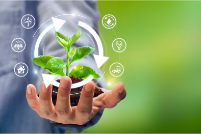 Thúc đẩy tiêu chuẩn phù hợp xu hướng phát triển xanh, kinh tế số và thương mại toàn cầu