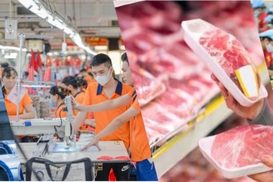 Vượt hàng rào kỹ thuật thương mại chinh phục thị trường EU bằng tiêu chuẩn