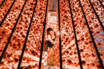 Lâm Đồng thúc đẩy doanh nghiệp tư nhân đột phá khoa học công nghệ