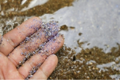 Phát hiện vi nhựa trong dịch nang buồng trứng của con người dấy lên lo ngại về sức khỏe sinh sản 