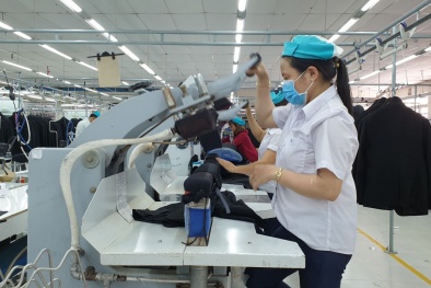 Đảm bảo an toàn và sức khỏe nghề nghiệp với tiêu chuẩn ISO 45001 