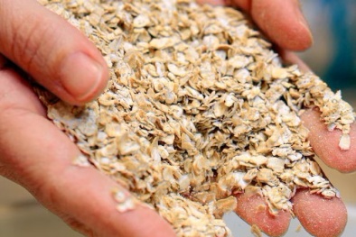Hơn 28 tấn yến mạch của Công ty Grain Millers bị thu hồi tại Mỹ do nghi ngờ lẫn tạp chất nhựa
