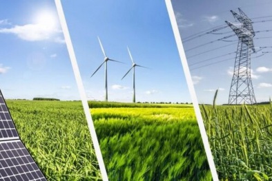 Thủ tướng chỉ đạo triển khai quyết liệt các giải pháp bảo đảm cung ứng điện