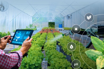 Ứng dụng trí tuệ nhân tạo trong sản xuất nông nghiệp: Đòn bẩy cho nông nghiệp xanh, bền vững