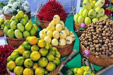 Bộ Công Thương cảnh báo 1 doanh nghiệp trái cây Trung Quốc đang bị điều tra