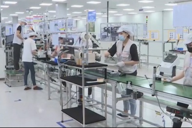 Phát triển kinh tế tư nhân thành trụ cột trong thời kỳ mới