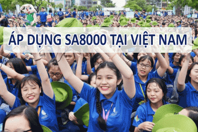 Thực trạng áp dụng bộ tiêu chuẩn SA 8000 tại Việt Nam