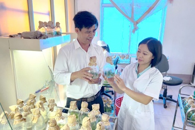 Ứng dụng công nghệ trong lâm nghiệp nâng cao năng suất chất lượng và phát triển bền vững