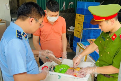 Hà Nội thu giữ lượng lớn thanh cua, há cảo và xúc xích không có tem nhãn phụ tiếng Việt