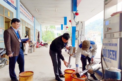 Bắc Kạn: Đồng bộ triển khai nhiều giải pháp thực hiện hiệu quả lĩnh vực TCĐLCL