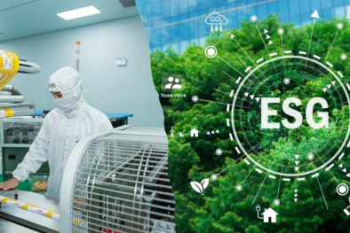 Doanh nghiệp Việt 'chậm nhưng chắc' trong thực hành ESG