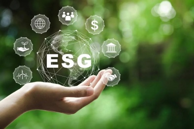Giải pháp thúc đẩy doanh nghiệp Việt Nam thực hiện ESG hướng tới phát triển bền vững