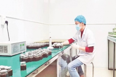 Các tỉnh vùng núi phía Bắc đẩy mạnh ứng dụng công nghệ, tạo đột phá phát triển xanh và bền vững