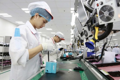 Tiêu chuẩn ISO 31000:2018 - bàn đạp giúp doanh nghiệp thắng lớn