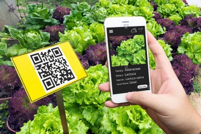 Truy xuất nguồn gốc là yếu tố ‘sống còn’ bảo vệ thương hiệu và quyền lợi người tiêu dùng