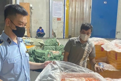 Hà Nội: Phát hiện kho đông lạnh chứa hơn 7 tấn trứng non, tràng gà, nầm lợn không rõ nguồn gốc